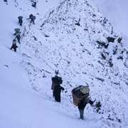 Népal - Nilgiri 7100m, marche d\
